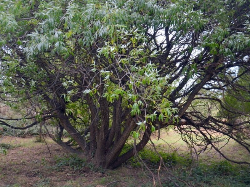 1 Tasman Highway, Seymour TAS 7215