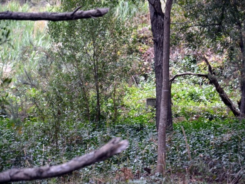 1 Tasman Highway, Seymour TAS 7215