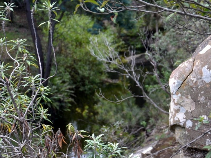 1 Tasman Highway, Seymour TAS 7215