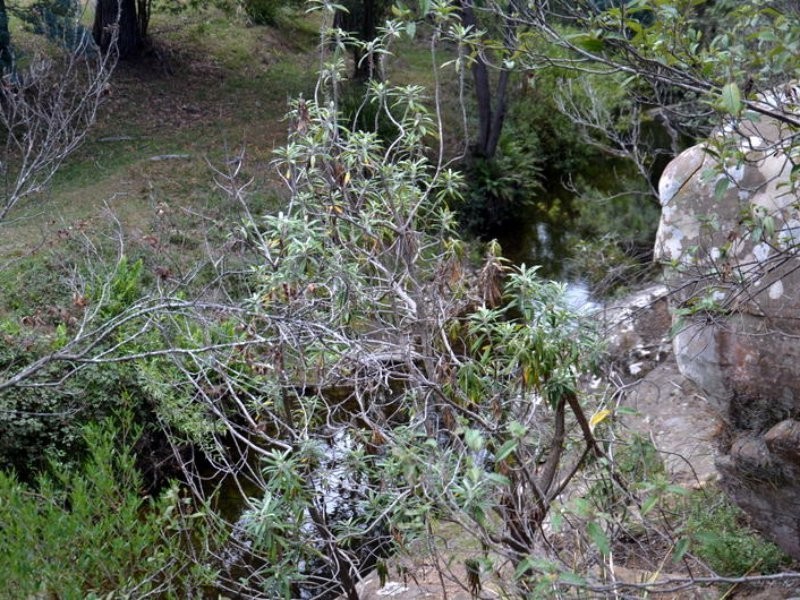 1 Tasman Highway, Seymour TAS 7215