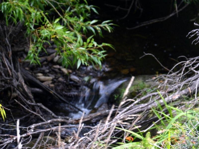 1 Tasman Highway, Seymour TAS 7215