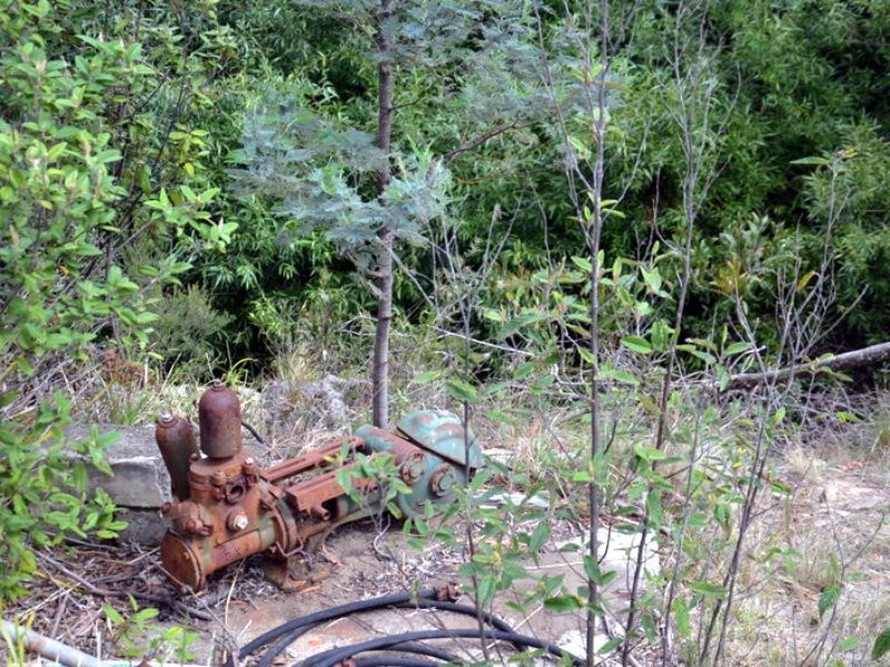 1 Tasman Highway, Seymour TAS 7215