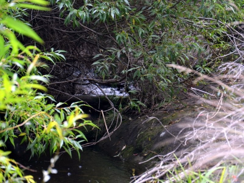 1 Tasman Highway, Seymour TAS 7215