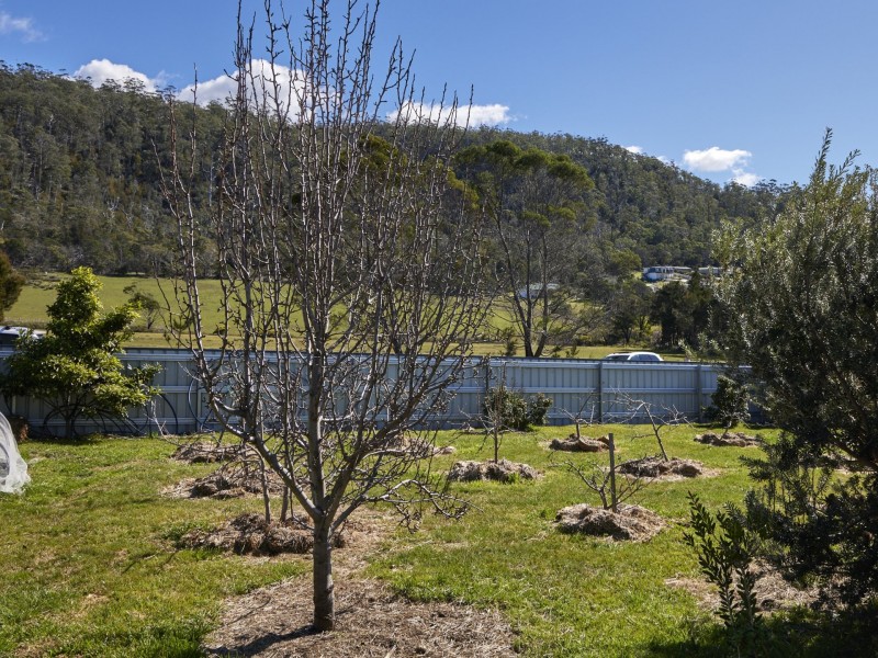 1 Seymour Street, Bicheno TAS 7215