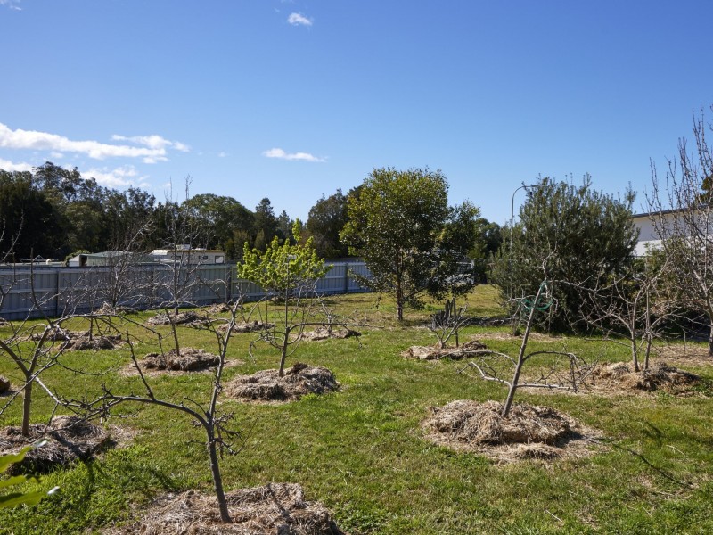 1 Seymour Street, Bicheno TAS 7215