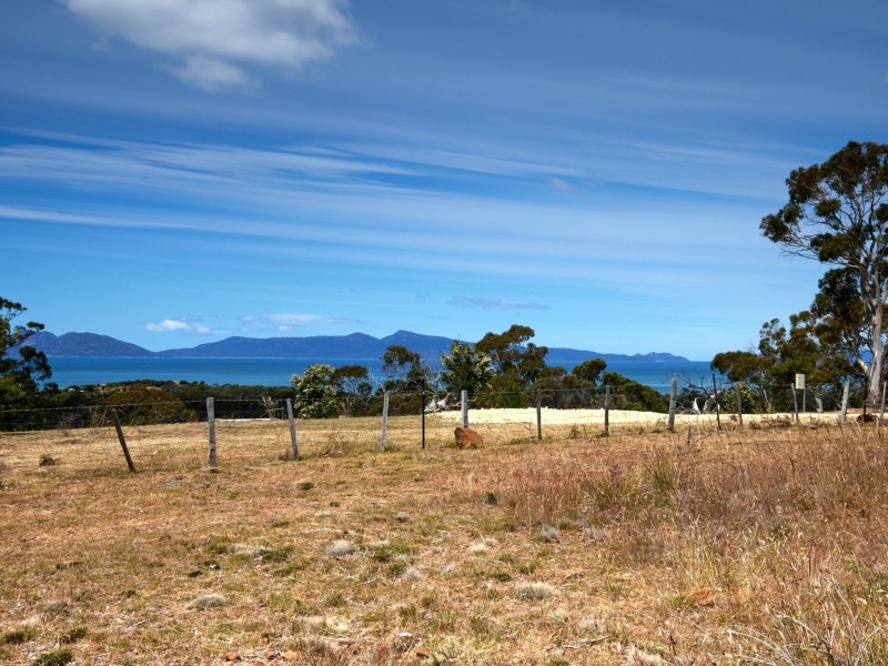 16 Cathcart Street, Swansea TAS 7190