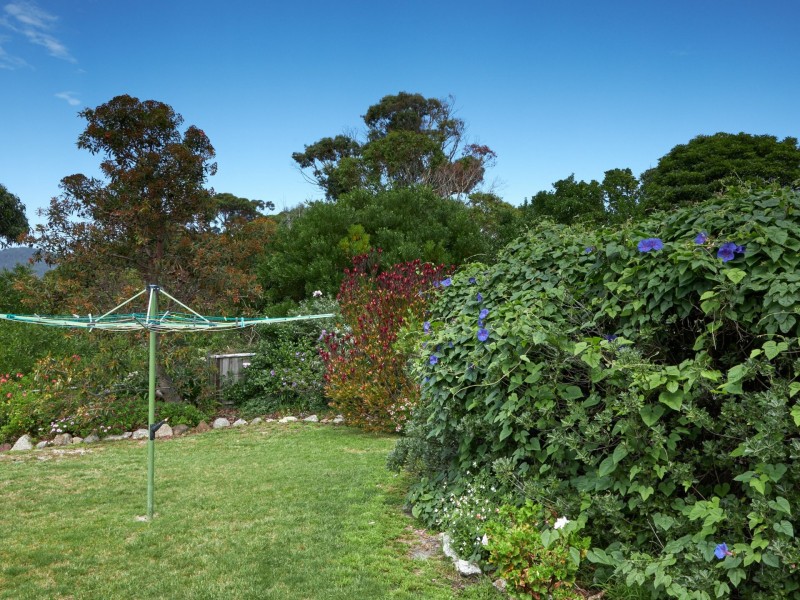 15 Weily Avenue, Bicheno TAS 7215