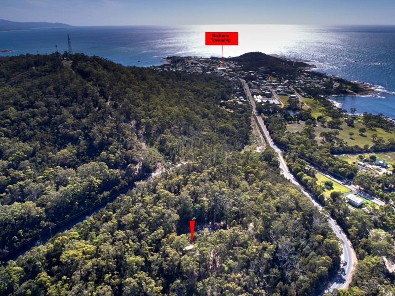 17519 Tasman Highway, Bicheno TAS 7215
