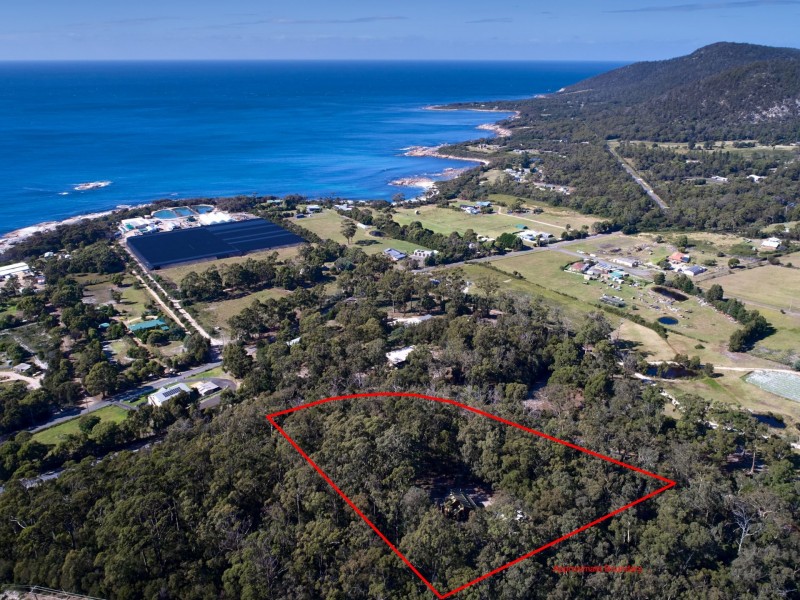 17519 Tasman Highway, Bicheno TAS 7215
