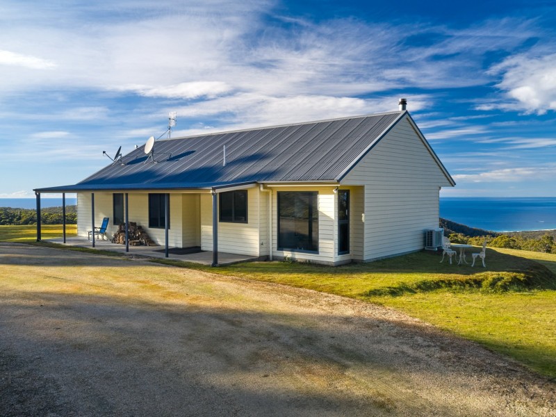 956 Mount Elephant Road, Gray TAS 7215