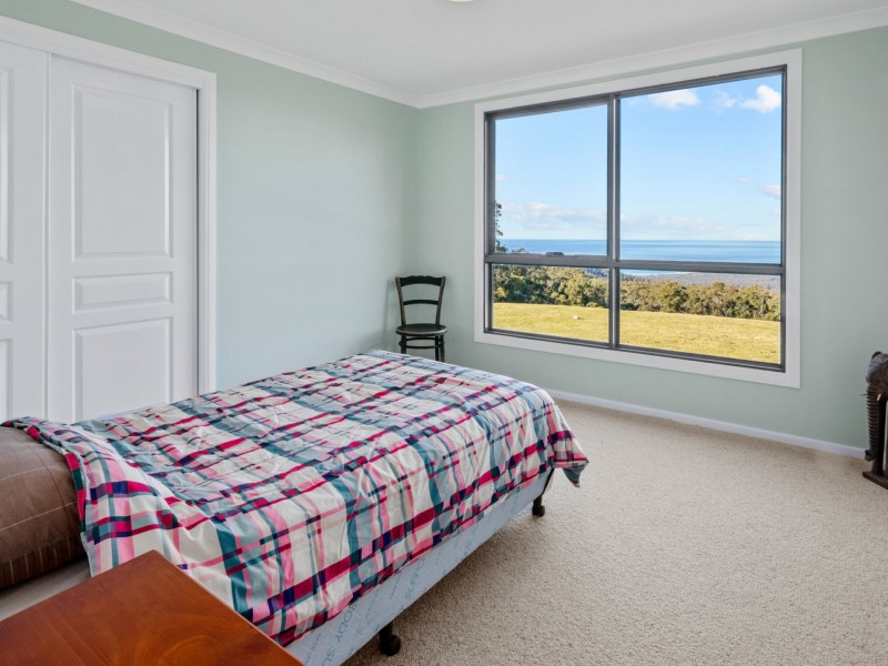 956 Mount Elephant Road, Gray TAS 7215