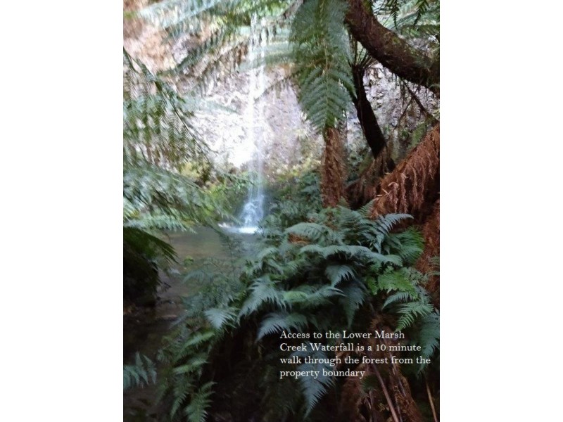 956 Mount Elephant Road, Gray TAS 7215