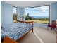 956 Mount Elephant Road, Gray TAS 7215