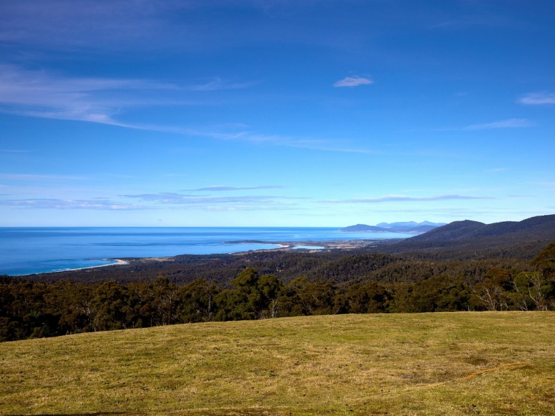 956 Mount Elephant Road, Gray TAS 7215