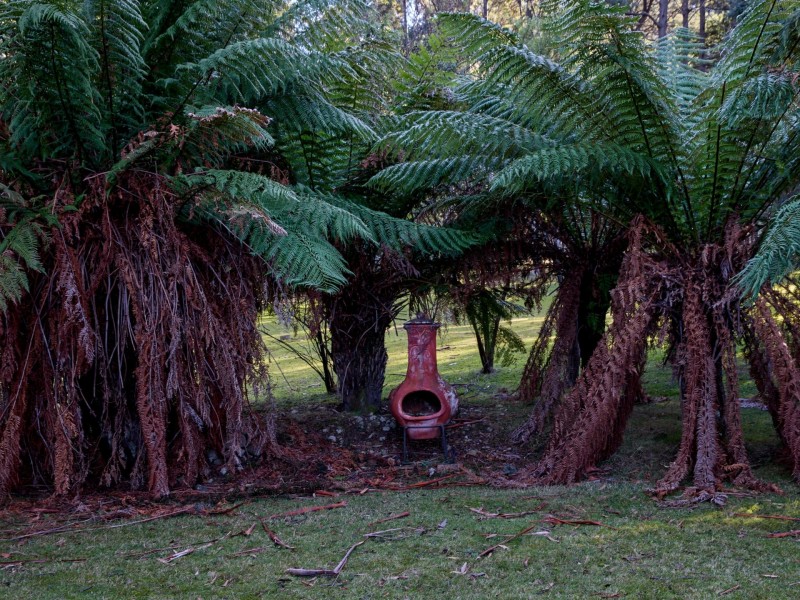 956 Mount Elephant Road, Gray TAS 7215