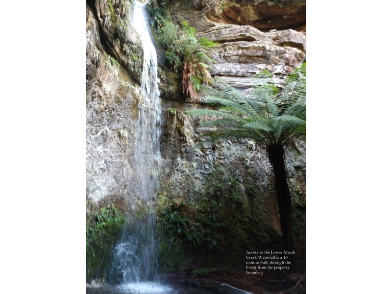 956 Mount Elephant Road, Gray TAS 7215