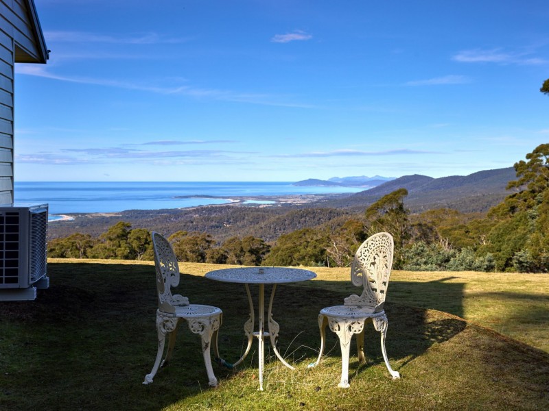 956 Mount Elephant Road, Gray TAS 7215