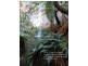 956 Mount Elephant Road, Gray TAS 7215