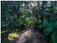 956 Mount Elephant Road, Gray TAS 7215