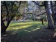 956 Mount Elephant Road, Gray TAS 7215