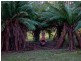 956 Mount Elephant Road, Gray TAS 7215