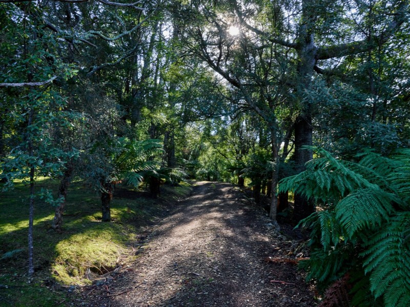 956 Mount Elephant Road, Gray TAS 7215