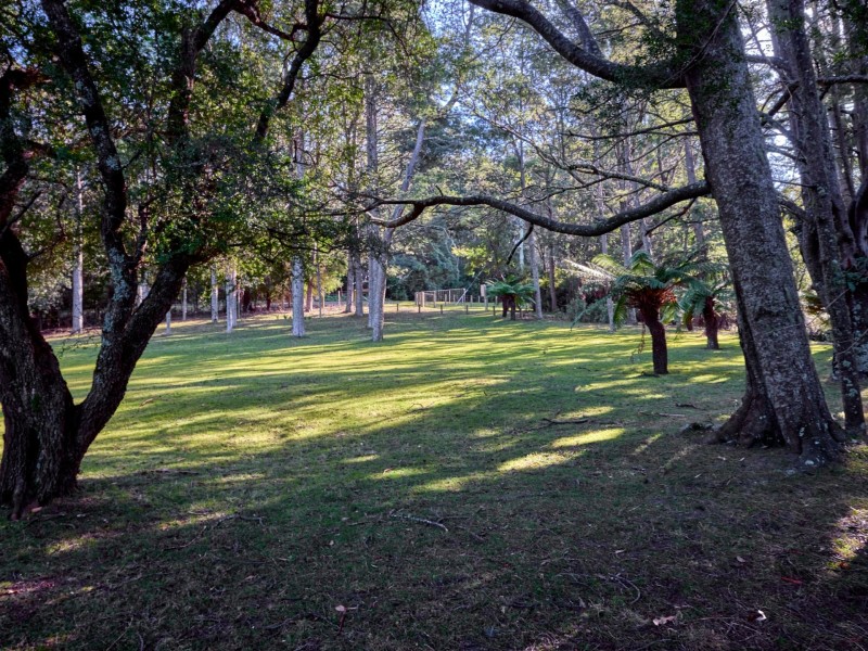 956 Mount Elephant Road, Gray TAS 7215