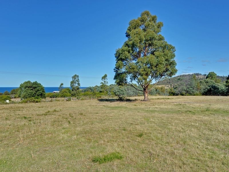RA 21019 Tasman Highway, Chain Of Lagoons TAS 7215
