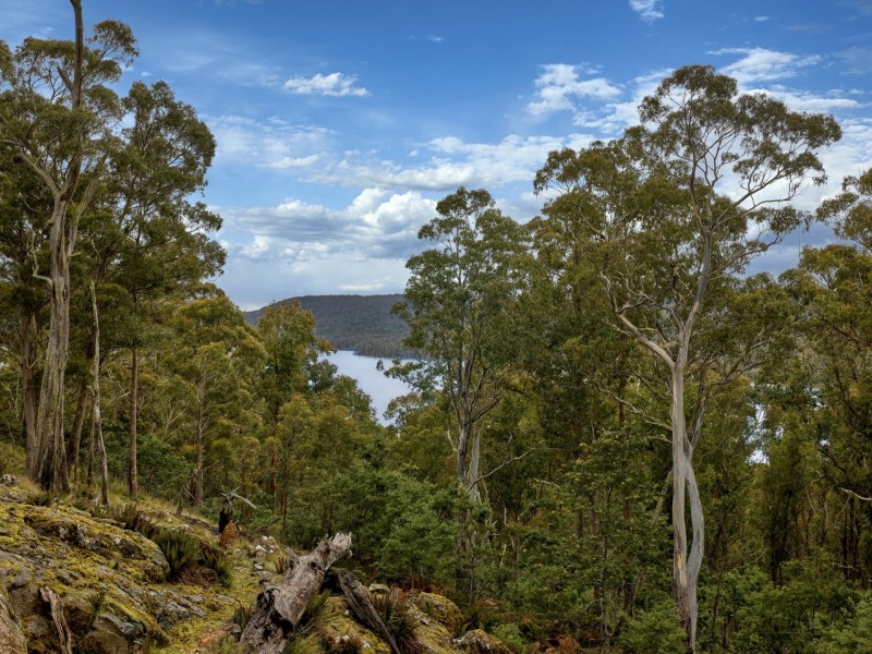 44 Little Spit Road, Lake Leake TAS 7210