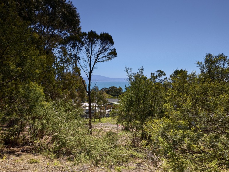 36 Douglas Street, Bicheno TAS 7215