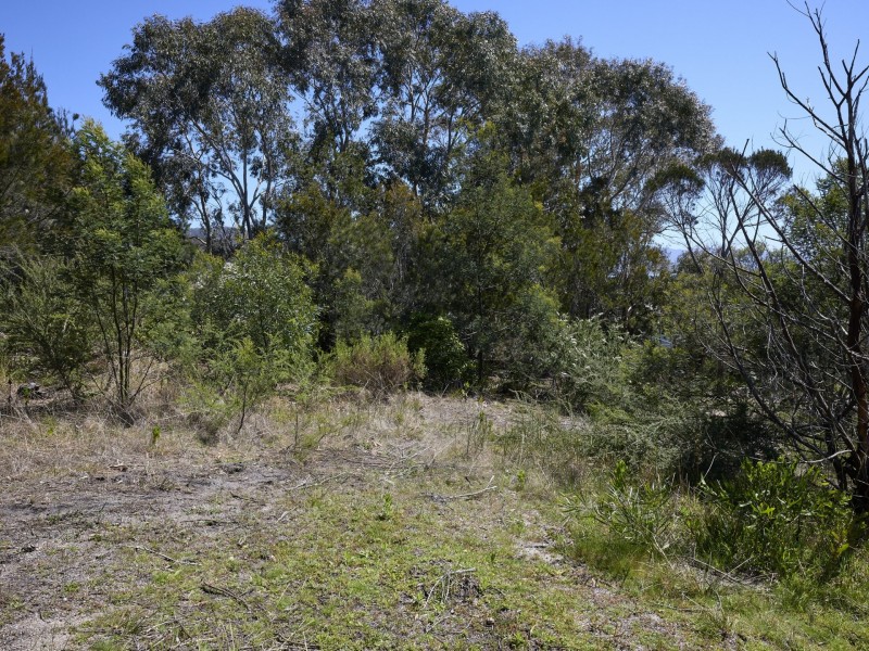 36 Douglas Street, Bicheno TAS 7215