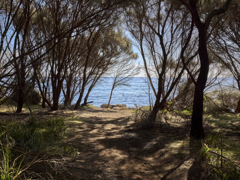 Lot 2/252 Harveys Farm Road, Bicheno TAS 7215