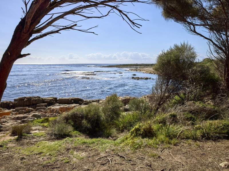 Lot 2/252 Harveys Farm Road, Bicheno TAS 7215