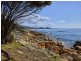 Lot 2/252 Harveys Farm Road, Bicheno TAS 7215