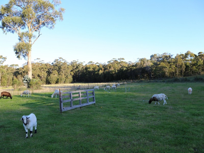 1 Barnard Drive, Bicheno TAS 7215