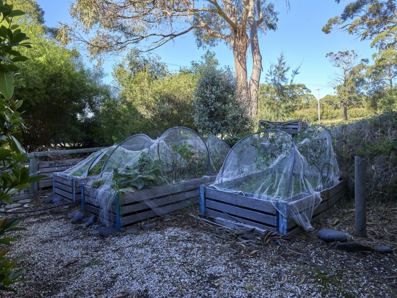 4 Burgess Street, Bicheno TAS 7215