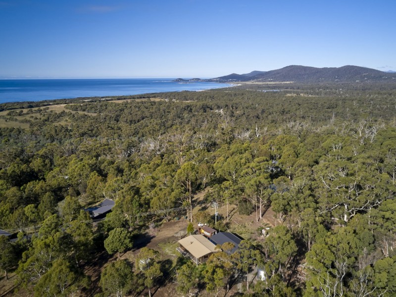 Lot 1/21 Deals Road, Douglas River TAS 7215