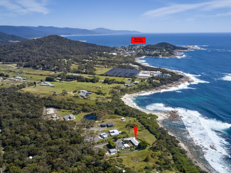 ‘Windrift’/119 Harveys Farm Road, Bicheno TAS 7215