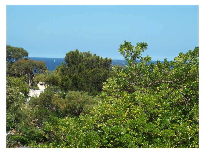 7 Douglas Street, Bicheno TAS 7215