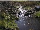 50 New Country Marsh Road, Levendale TAS 7120