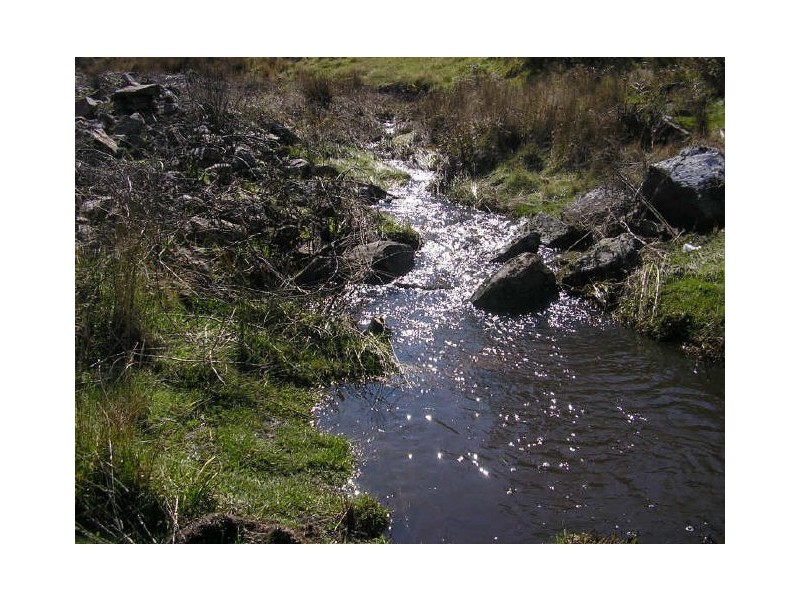 50 New Country Marsh Road, Levendale TAS 7120