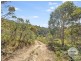 777 McGuires Marsh Road, Osterley TAS 7140