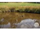 LOT 1 9a Beach Road, Middleton TAS 7163