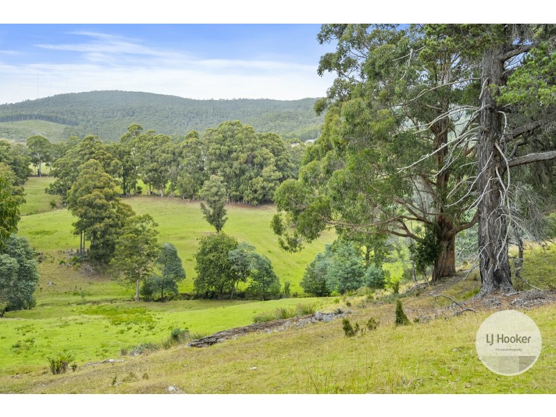 39 Gumpits Road, Birchs Bay TAS 7162
