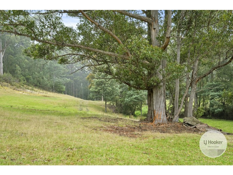 39 Gumpits Road, Birchs Bay TAS 7162
