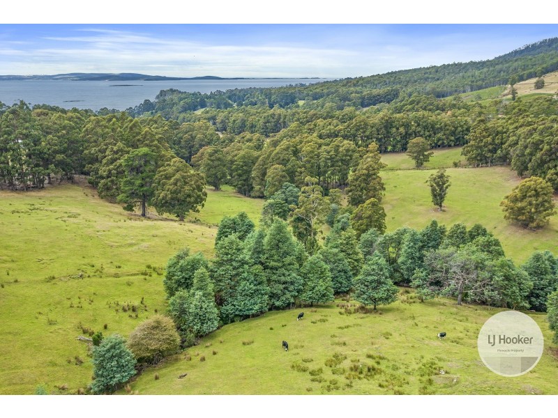 39 Gumpits Road, Birchs Bay TAS 7162