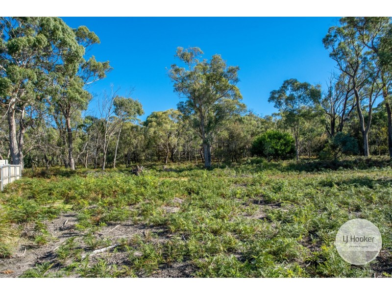 11 Wedgetail Street, Primrose Sands TAS 7173