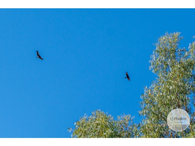 11 Wedgetail Street, Primrose Sands TAS 7173