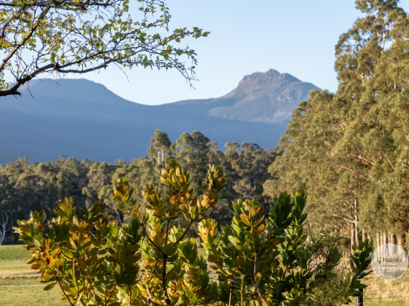 25 Banksia Rd, Mountain River TAS 7109