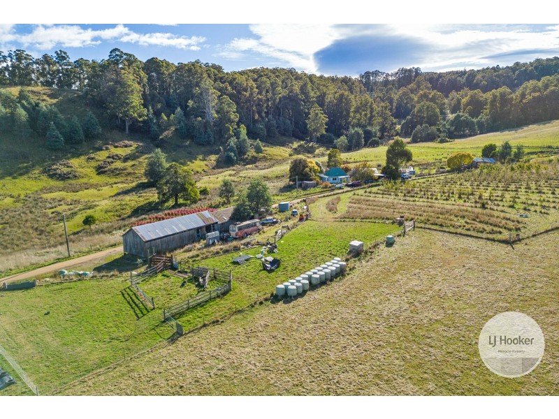 Lot 1 Sculthorpes Road, Nicholls Rivulet TAS 7112